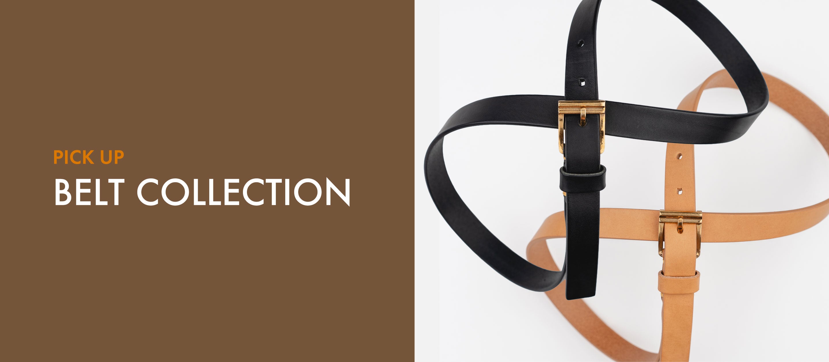 il micio di Hidetaka Fukaya｜イル・ミーチョ 公式サイト