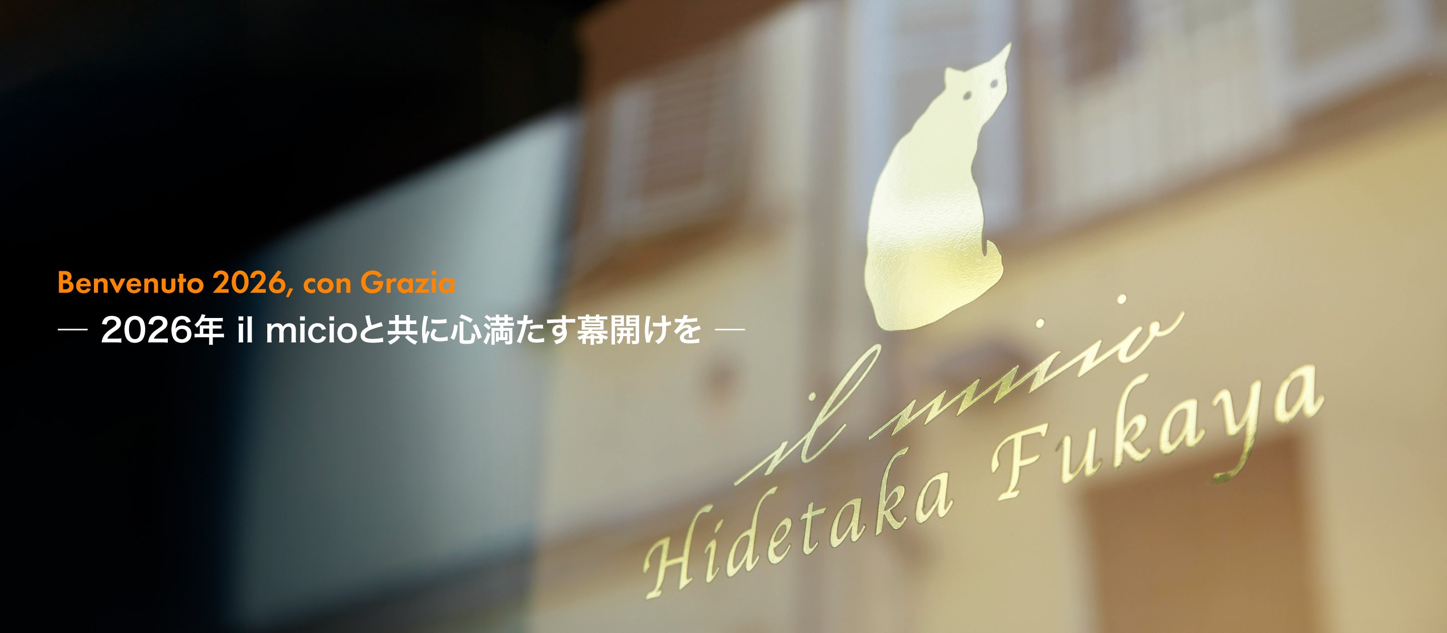 il micio di Hidetaka Fukaya｜イル・ミーチョ 公式サイト